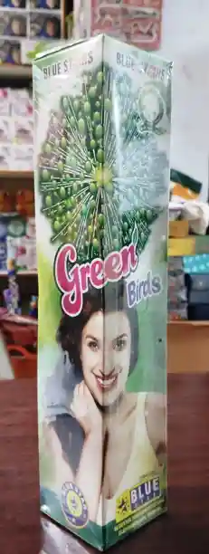 Birds